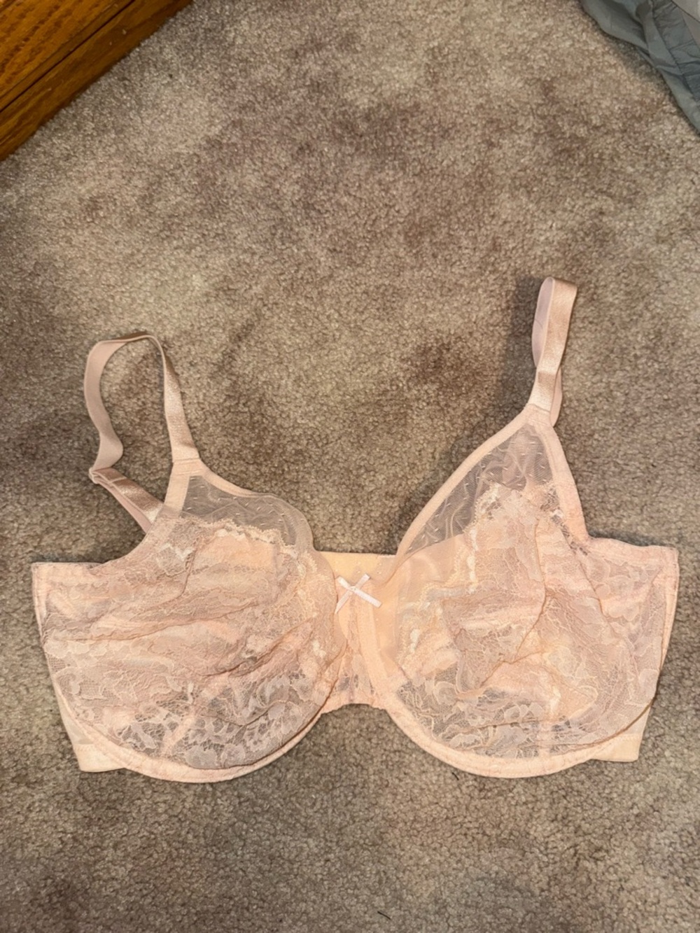HSIA Sheer Lace Underwire Bra in Blush Pink - 36H (5D)